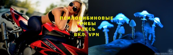 прущая мука Горняк