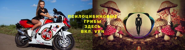 прущая мука Горняк