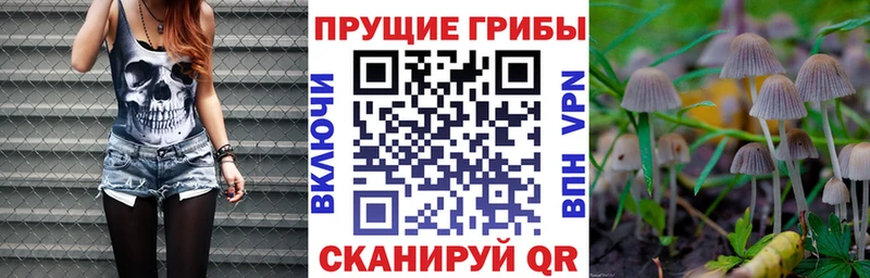 Галлюциногенные грибы Cubensis  Долинск 
